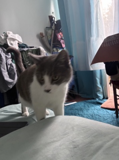 10��1��(��) ���͂悤�L���