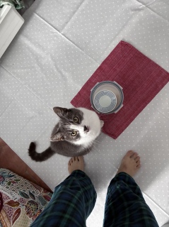�悭�����