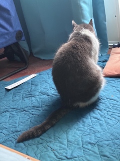 ������ꒆ