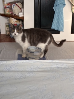 �ړ��Ă͂����
