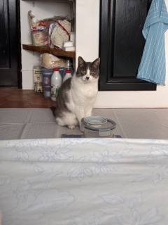 �����͈�i��
