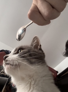 �~�j����B�肽��