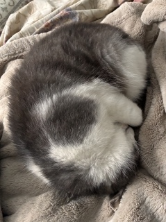 �[�������˂�
