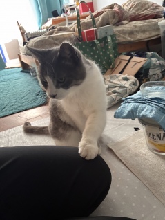 ���肷���