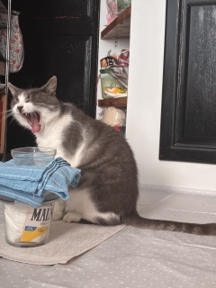 �����с@��