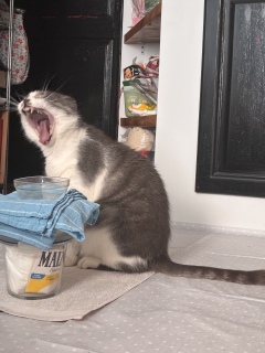 �����с@��