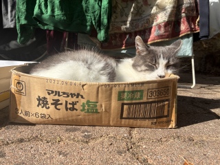 ���������K