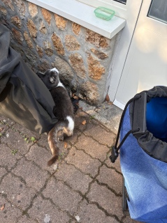 �ˁ[���͏o�΂ł�