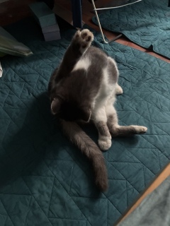 10��21��(��) �o���莩�R���