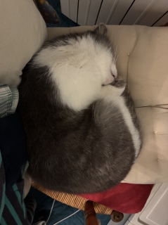 ���˂�