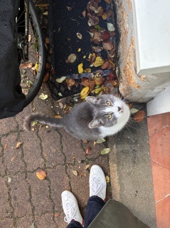 �ˁ[���͏o�΂ł�