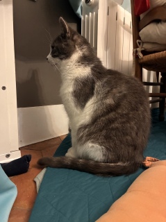 �[��̂����
