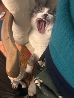 �����с@��