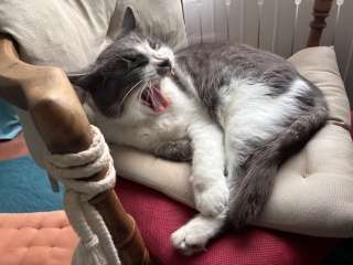 �����ё҂��ˁ[��